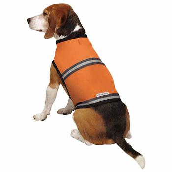 Insect Shield Protective Dog Safety Vest - Carrot