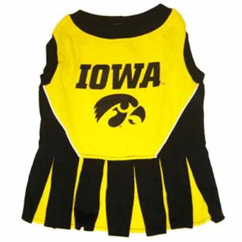 Iowa Hawkeyes Cheerleader Dog Dress