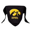 Iowa Hawkeyes Mesh Dog Bandana