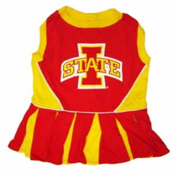 Iowa State Cheerleader Dog Dress