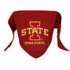 Iowa State Mesh Dog Bandana