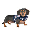 Joceline Jacket Dog Harness By Pinkaholic - Navy