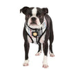 Junior Dog Harness by Puppia - Black