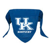 Kentucky Wildcats Mesh Dog Bandana