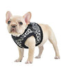 Leonard Vest Style Dog Harness By Puppia - Black