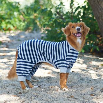 Lookin' Good Striped Dog Pajamas - Blue