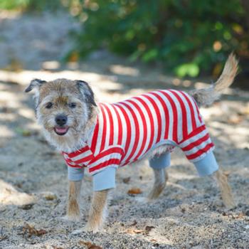 Lookin' Good Striped Dog Pajamas - Red