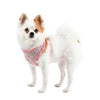 Margaux Basic Style Dog Harness By Pinkaholic - Pink