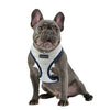 Mischief Basic Style Dog Harness By Puppia - Grey