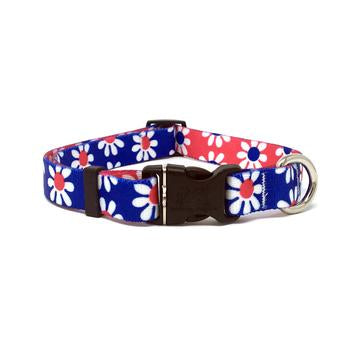 Mix and Match Daisy Dog Collar by Yellow Dog - Royal and Red