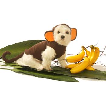 Monkey Dog Costume by Doggie Design