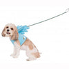 My Little Pony Rainbow Dash Wing Dog Harness Costume