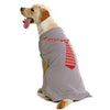 Necktie Dog Sweater by Dogo - Gray