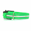 Neon Dog Collar with White LEDs - Green