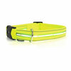 Neon Dog Collar with White LEDs - Neon Yellow