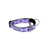 Nirvana All Webbing Martingale Dog Training Collar