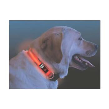 Nite Dawg LED Dog Collar - Orange