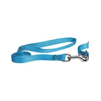 Nylon Brites Dog Leash by Guardian Gear - Malibu Blue