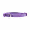 Nylon Dog Collar by Zack & Zoey - Ultra Violet