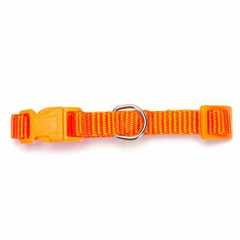 Nylon Dog Collar by Zack and Zoey - Orange