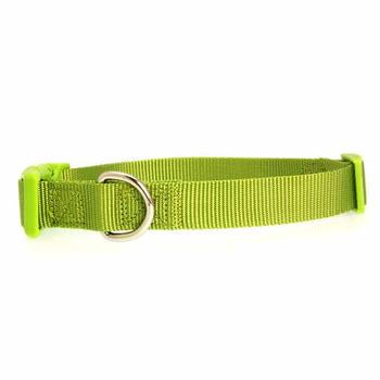 Nylon Dog Collar by Zack & Zoey - Parrot Green