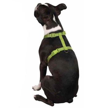 Nylon Dog Harness by Zack & Zoey - Parrot Green