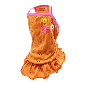 Orange Blossom Eyelet Dog Dress by Hip Doggie