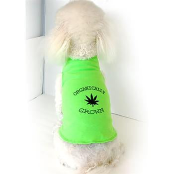 Organically Grown Dog Tank by Daisy and Lucy - Lime Green