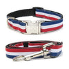 Patriotic Pooch Dog Collar and Leash Set by Diva Dog