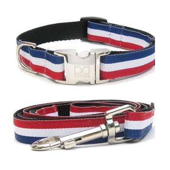 Patriotic Pooch Dog Collar and Leash Set by Diva Dog