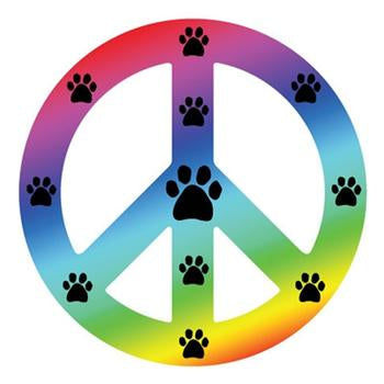 Peace Sign Magnet - Rainbow