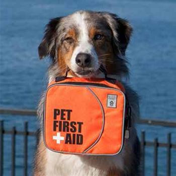 Pet First Aid Kit by Canine Friendly