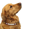 Pittsburgh Steelers Leather Dog Collar