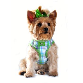 Plaid American River Choke Free Dog Harness - Green and Turquoise