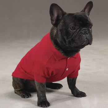 Polo Dog Shirt - Tomato Red