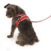 Precision-Fit Nylon Dog Harness - Red