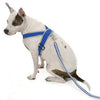 Precision-Fit Nylon Dog Harness - Sapphire