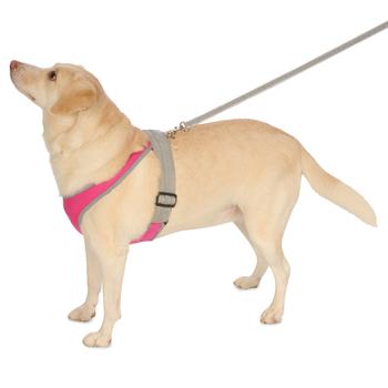 Precision Sport Mesh Dog Harness - Hot Pink