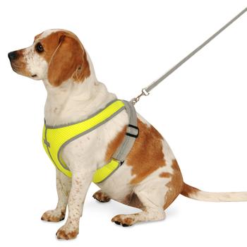 Precision Sport Mesh Dog Harness - Lime