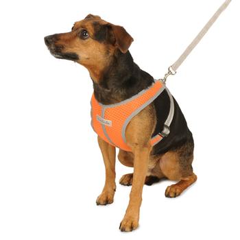 Precision Sport Mesh Dog Harness - Orange