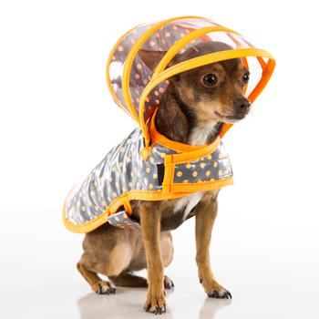 Puddle Jumper Dog Raincoat - Polka Dot Orange on Gray