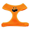 Pumpkin Halloween Dog Harness - Orange