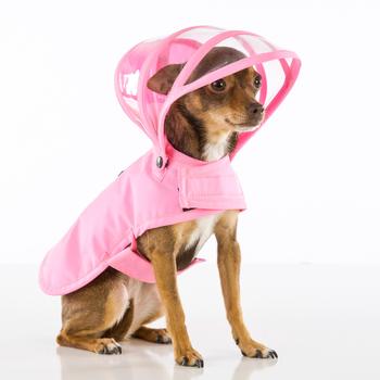 Push Pushi Rainbow Line Dog Raincoat - Pink