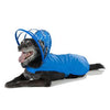 Push Pushi Rainbow Line Dog Raincoat - Royal Blue