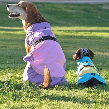 Dog Raincoat Body Wrap by Doggie Design - Pink and Lavender