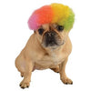 Rainbow Afro Wig Dog Costume