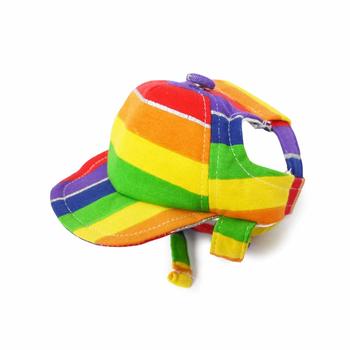 Rainbow Dog Hat by Dogo