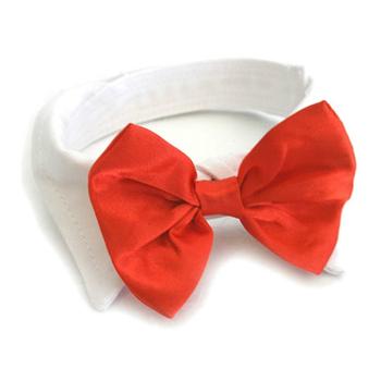 Red Satin Bowtie Collar