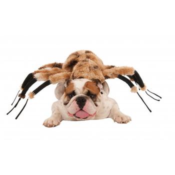 Rubie's Giant Spider Dog Costume