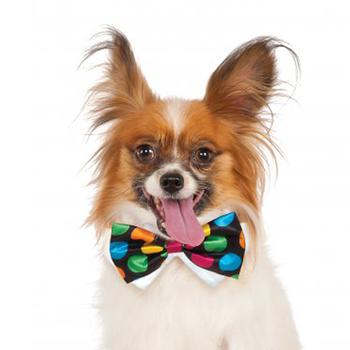 Rubie's Halloween Polka Dot Dog Bow Tie